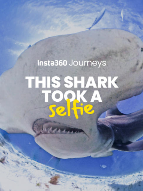 @insta360 official