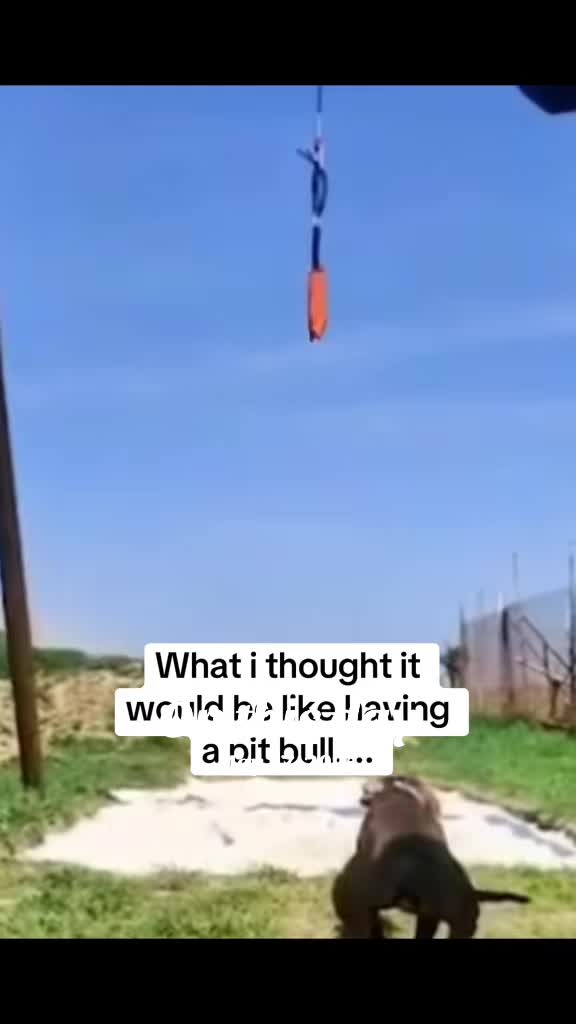 @Pittie Mom
