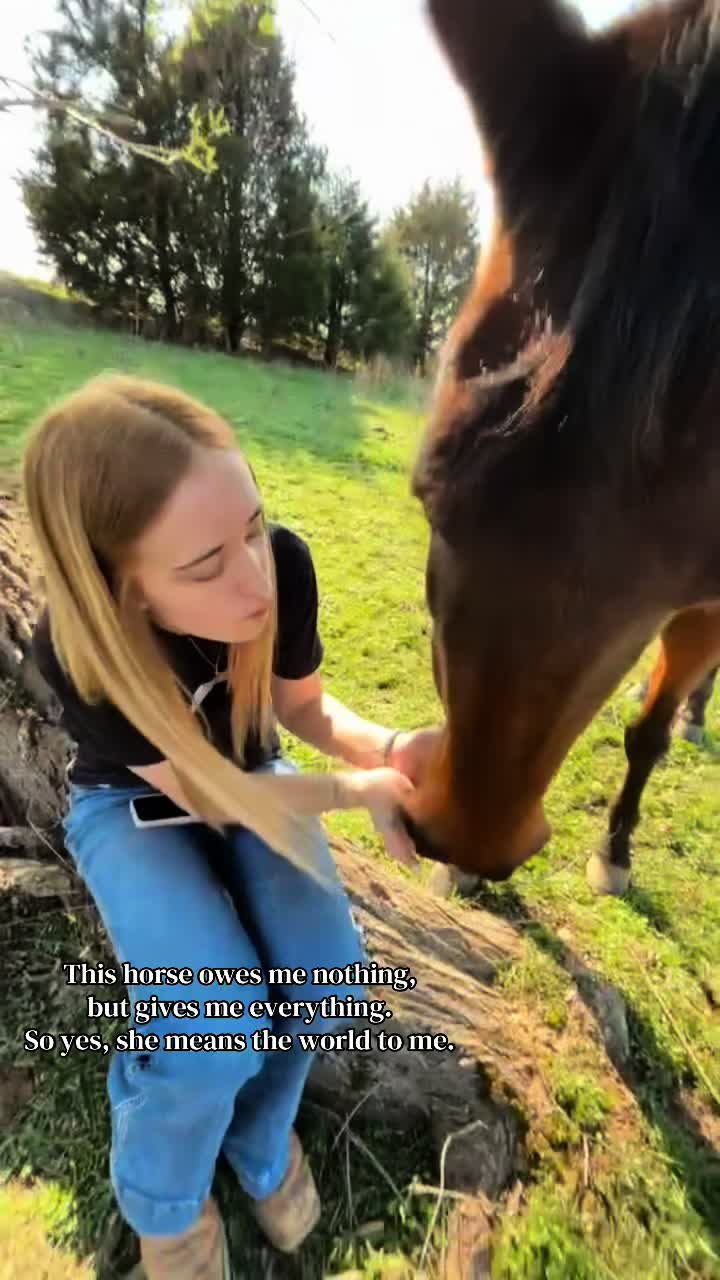 @ilovemyhorse_more27