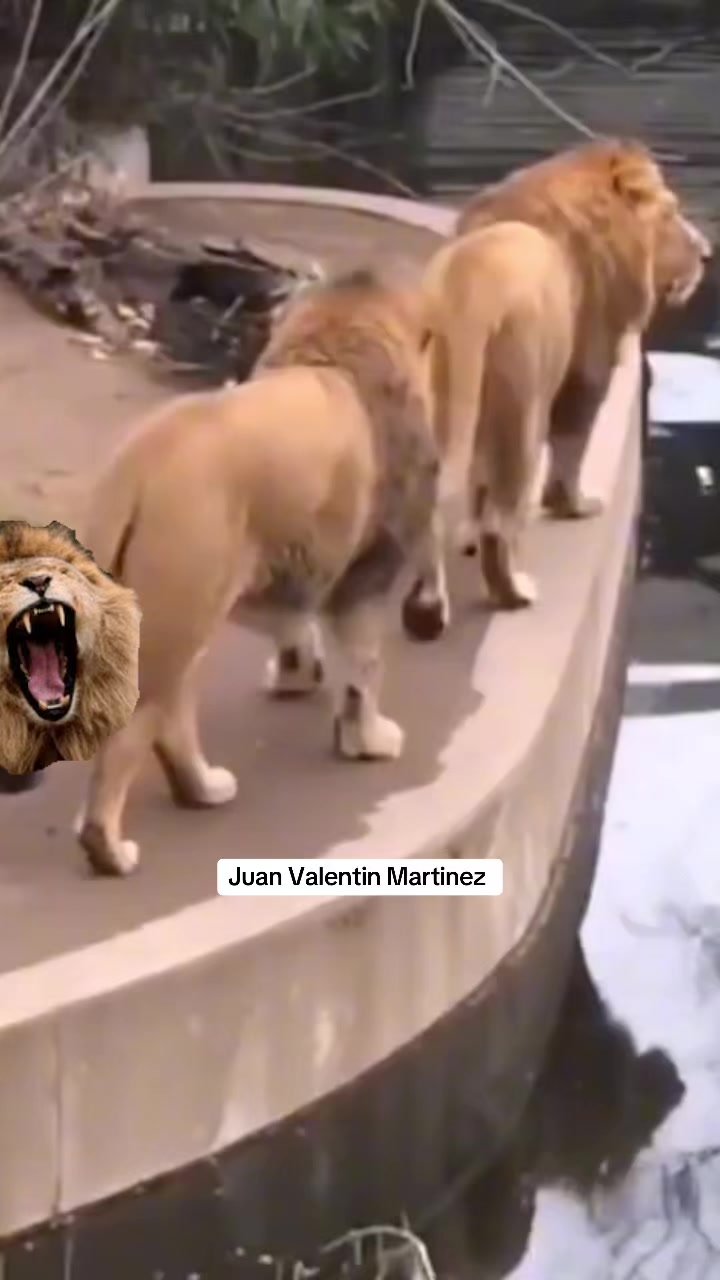@Juan Valent&iacute;n Mart&iacute;nez Herrera