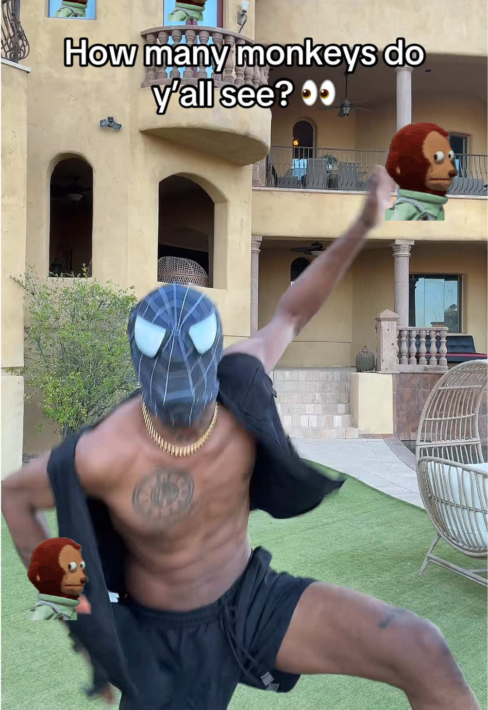 @SPIDA 🕷️