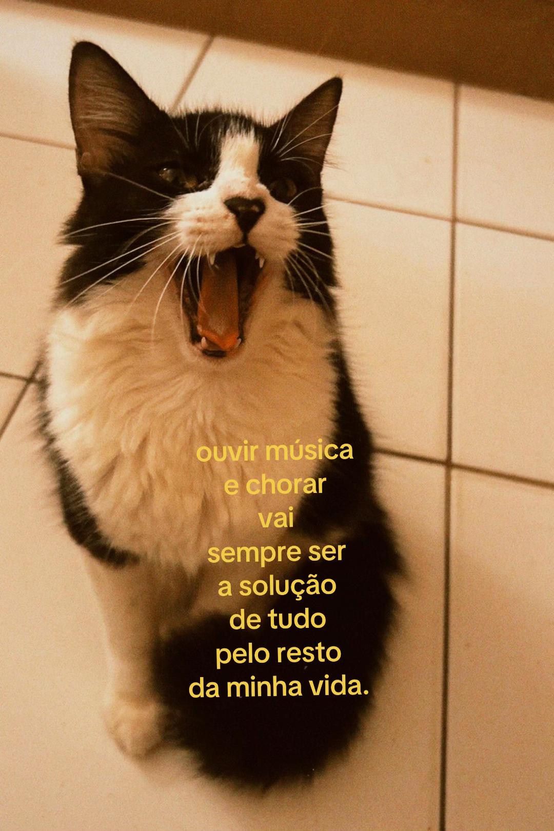 @𝓥ιᥴkᥡ (𝓐le’s 𝓖f ౨ৎ)