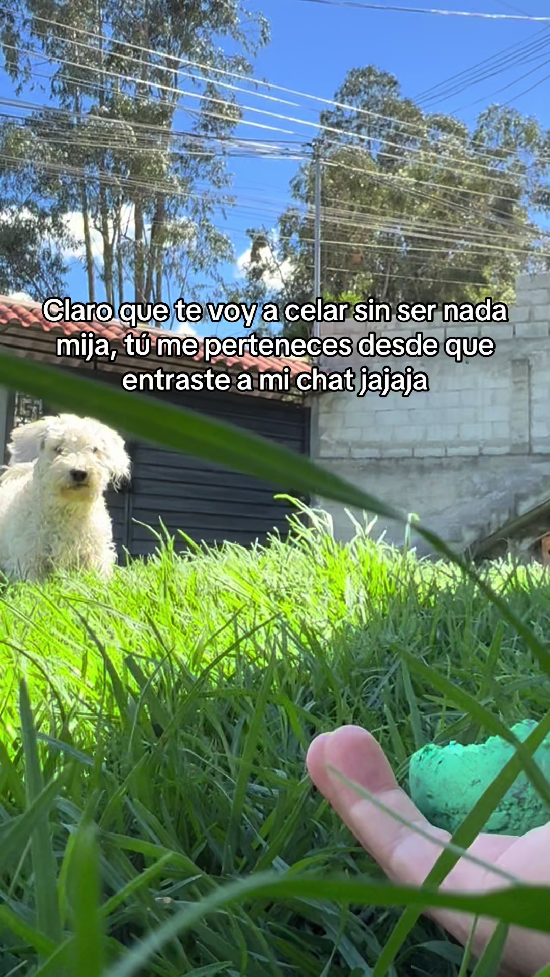 @Snuff