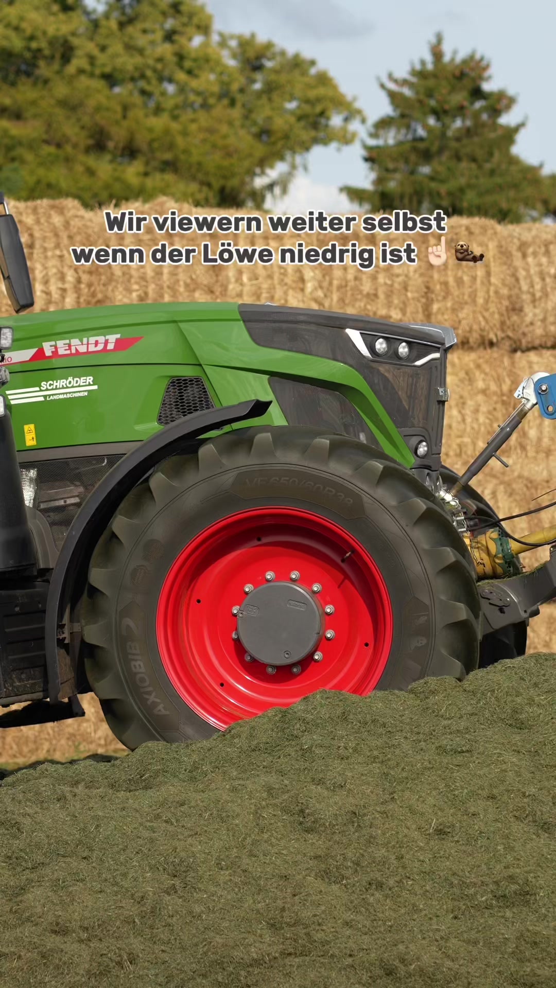 @Luca