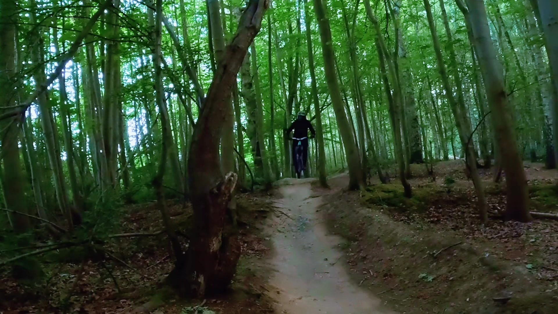 @MTB and life