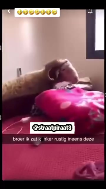 @straatpiraat