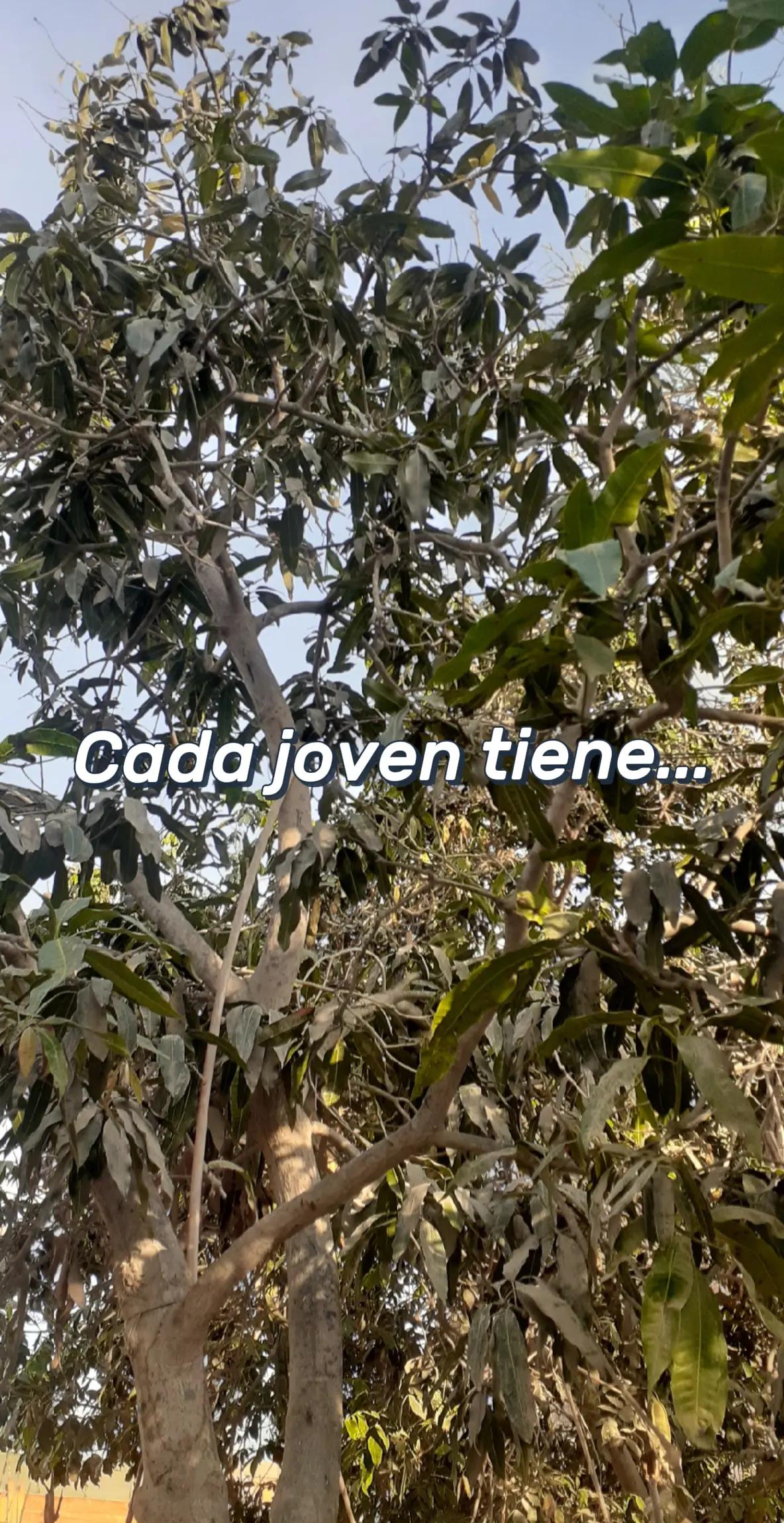 @Erickpqm