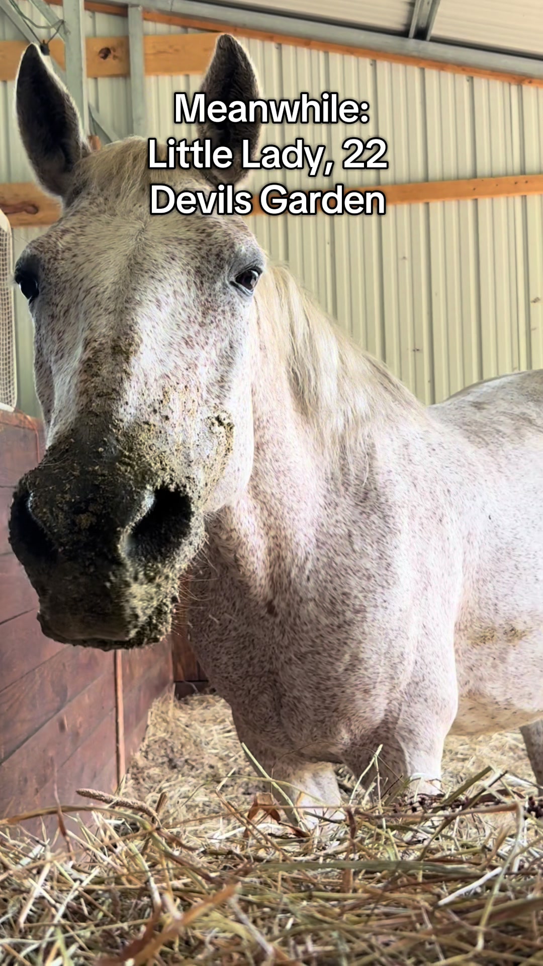 @NWPA Equine Sanctuary