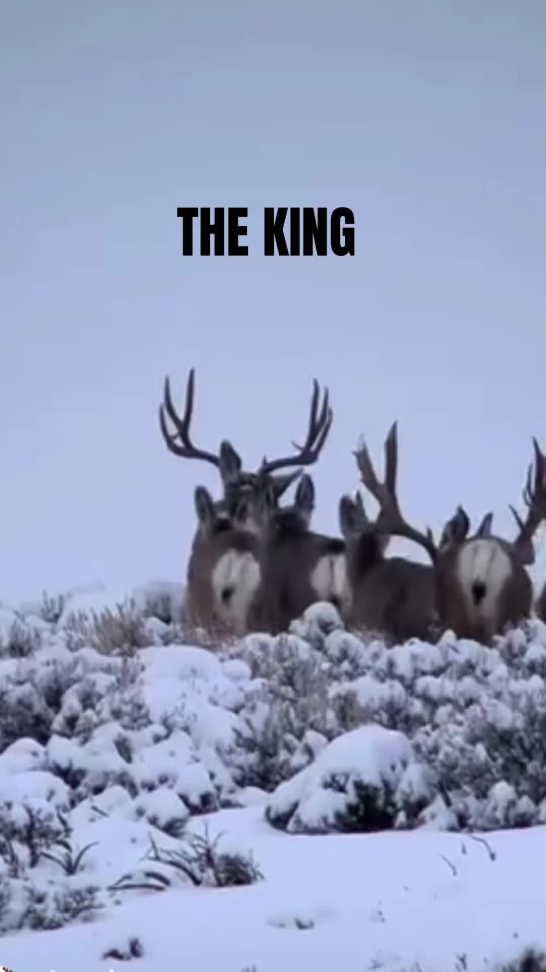@Best of the Outdoors