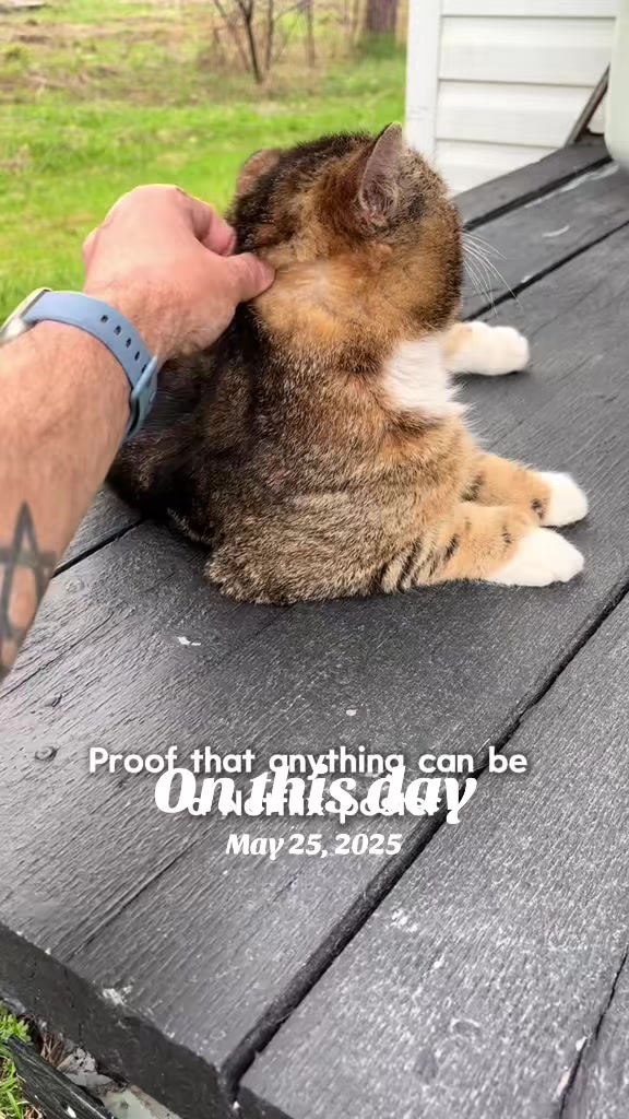 @Deadlymeek