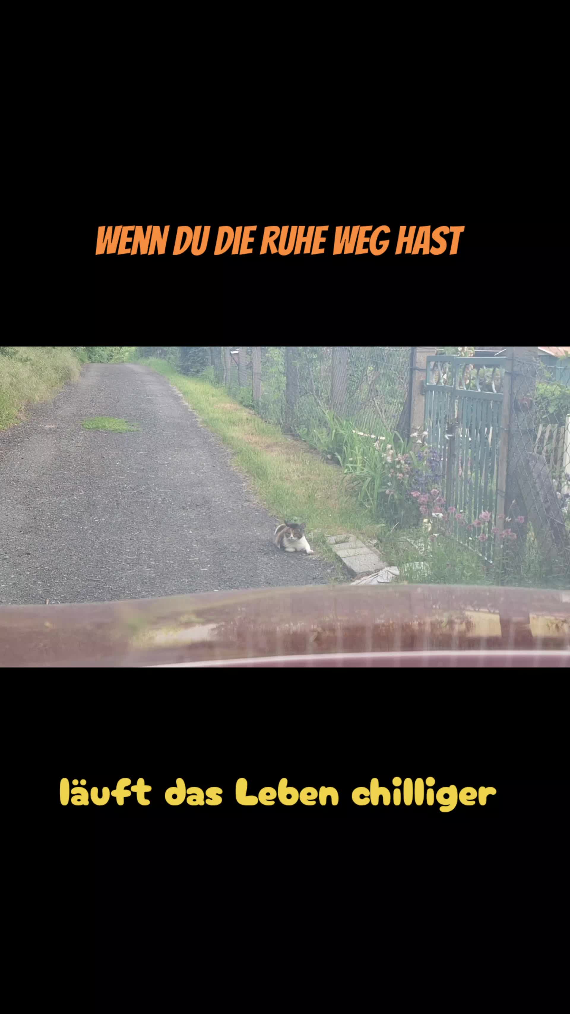@Susi & der Dosenöffner 🤔🤣