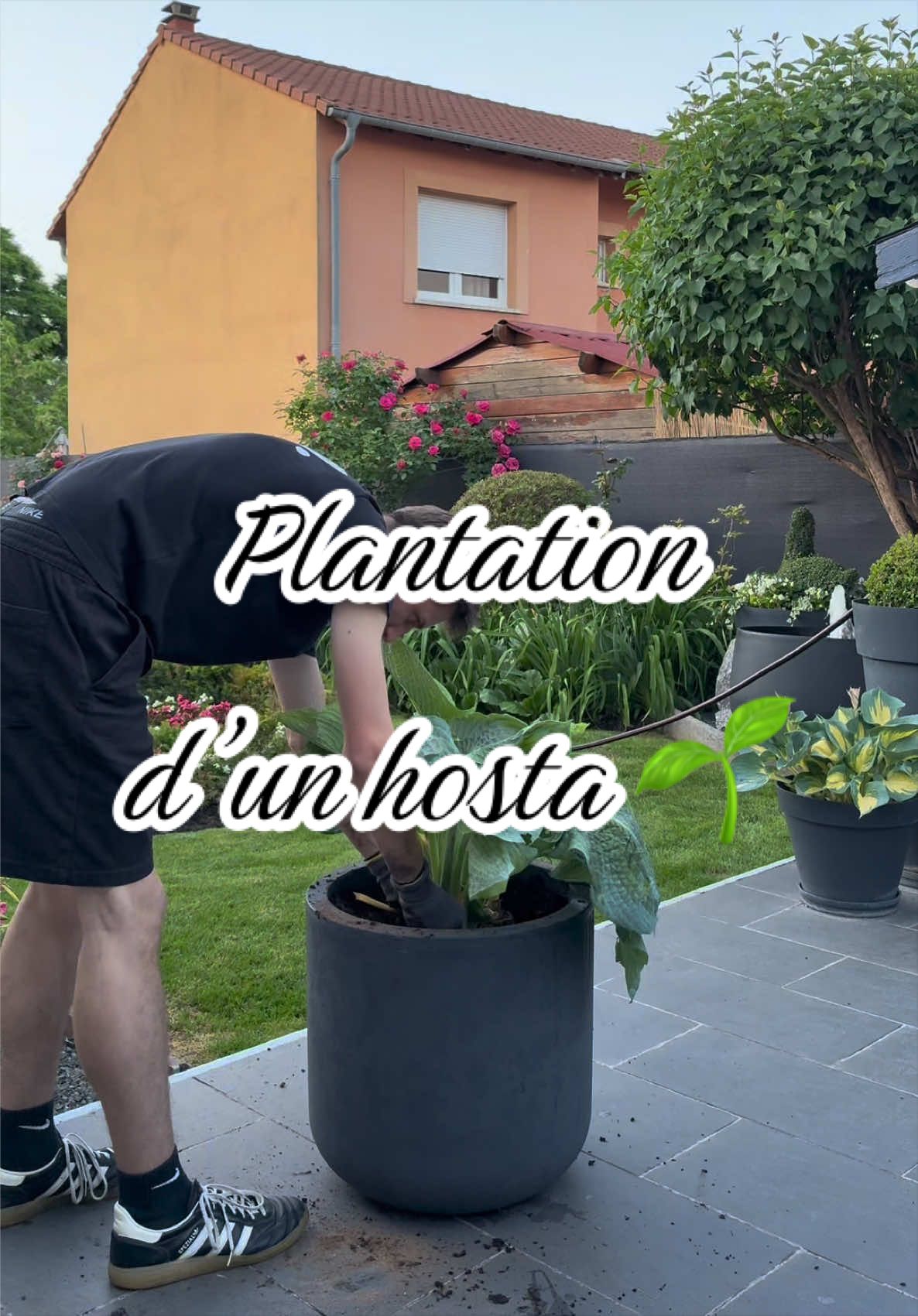 @jardinierdudimanche