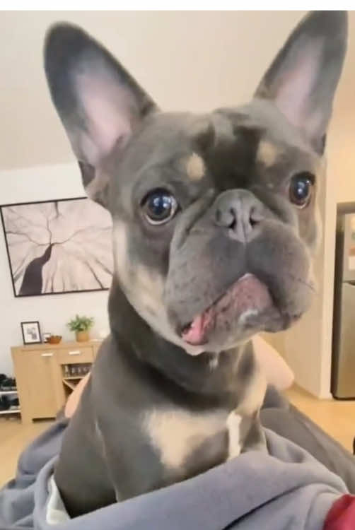 @cuteanimals472