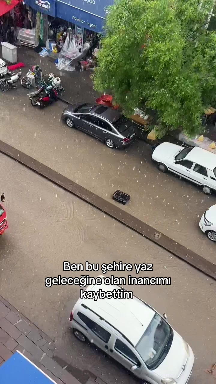 @sedadminn