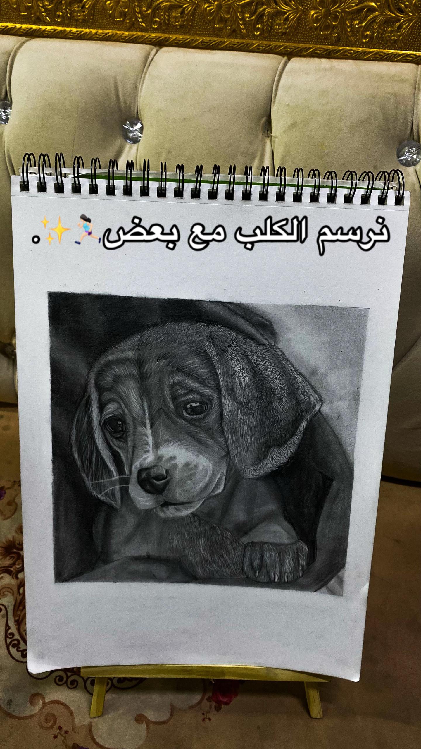 @عوال❣️.
