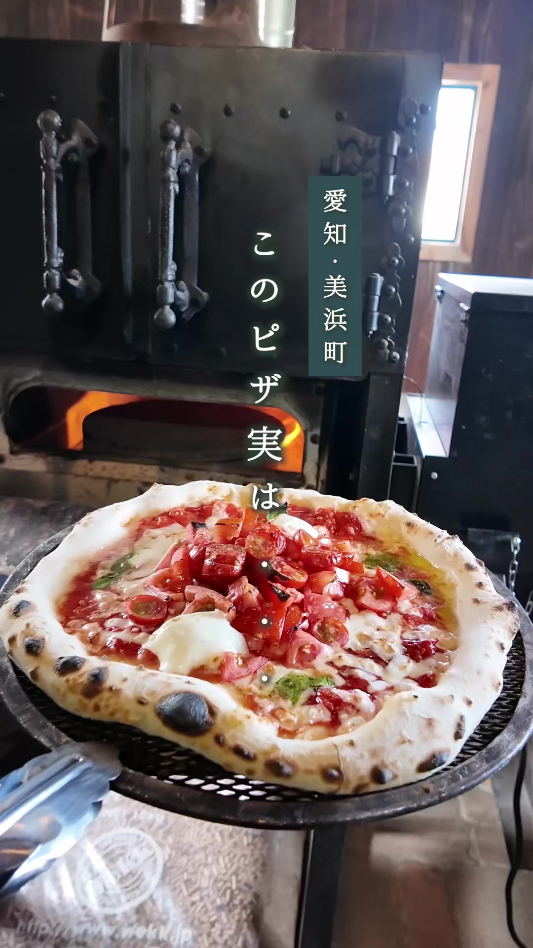 @ちたたび🦘愛知で遊ぶなら知多へ行こう