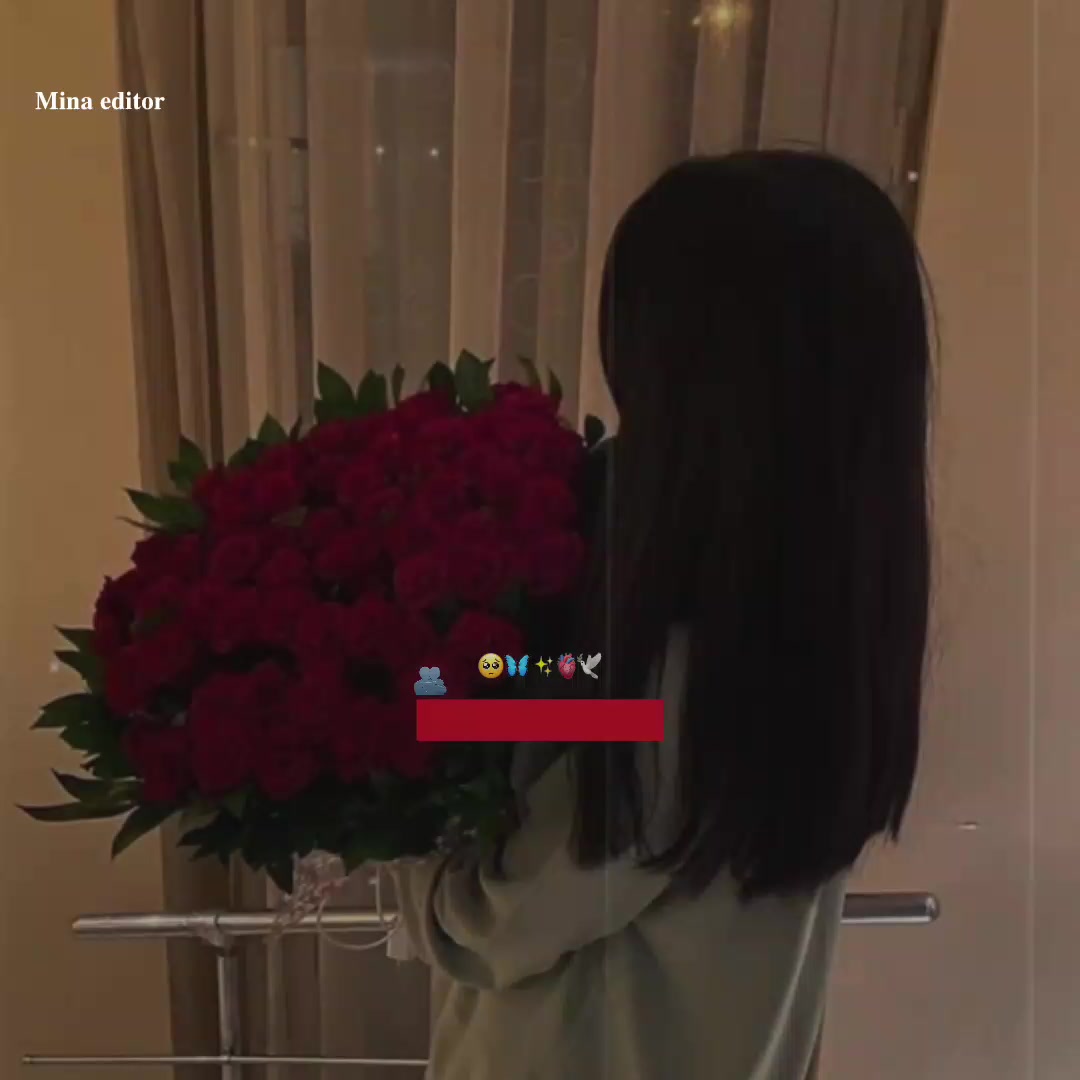 @꙳⏤͟͟͞͞○𝑯𝒂𝒏𝒊﹏۵♡