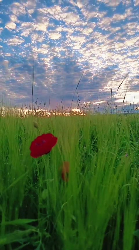 @doga_nefes