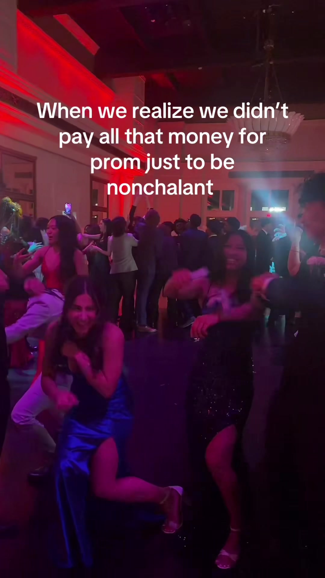 @sofia🦍