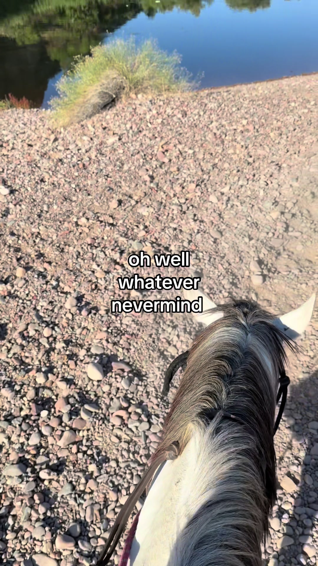 @Dani in the Desert