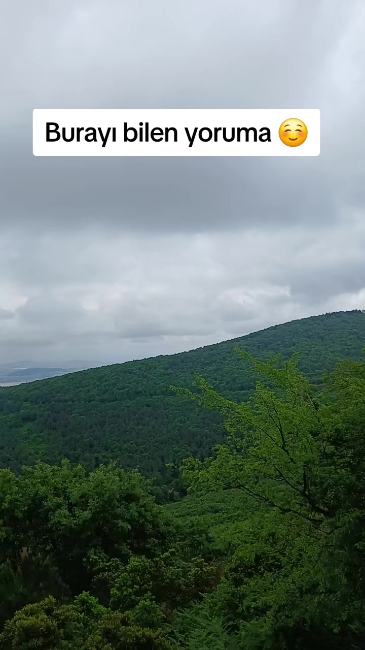 @𝑺𝒆𝒄𝒌𝒊𝒏☪⃝