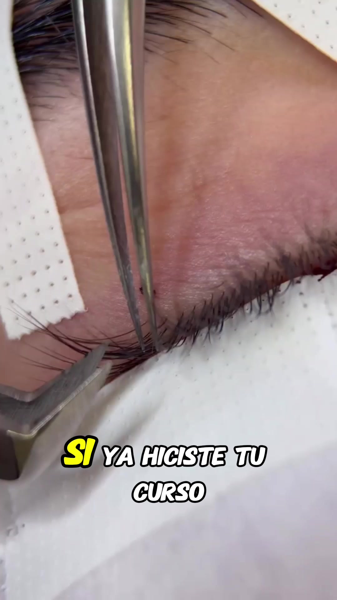 @academiadebellas