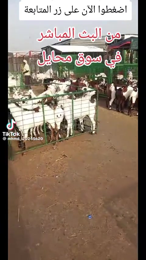 @mohamed_ksa0