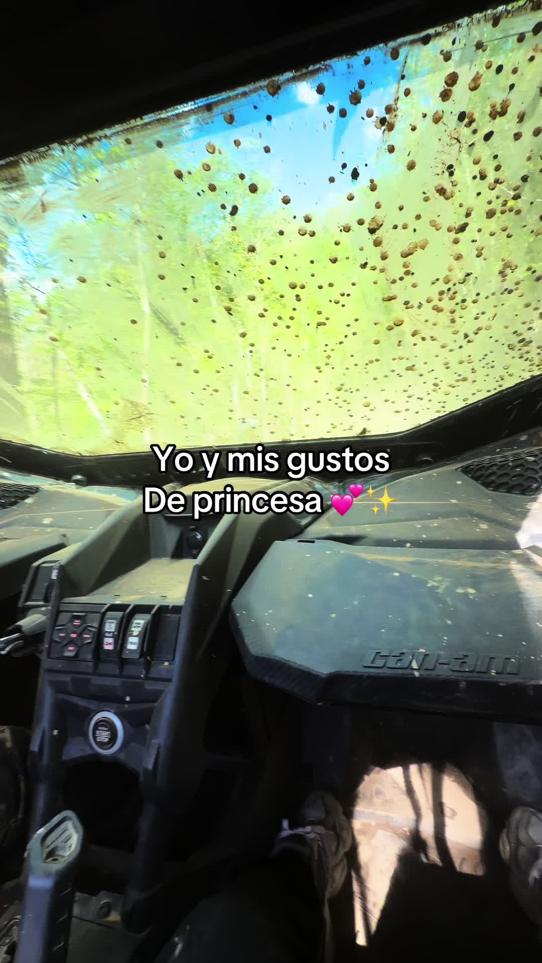 @Astry_24🌷🫧