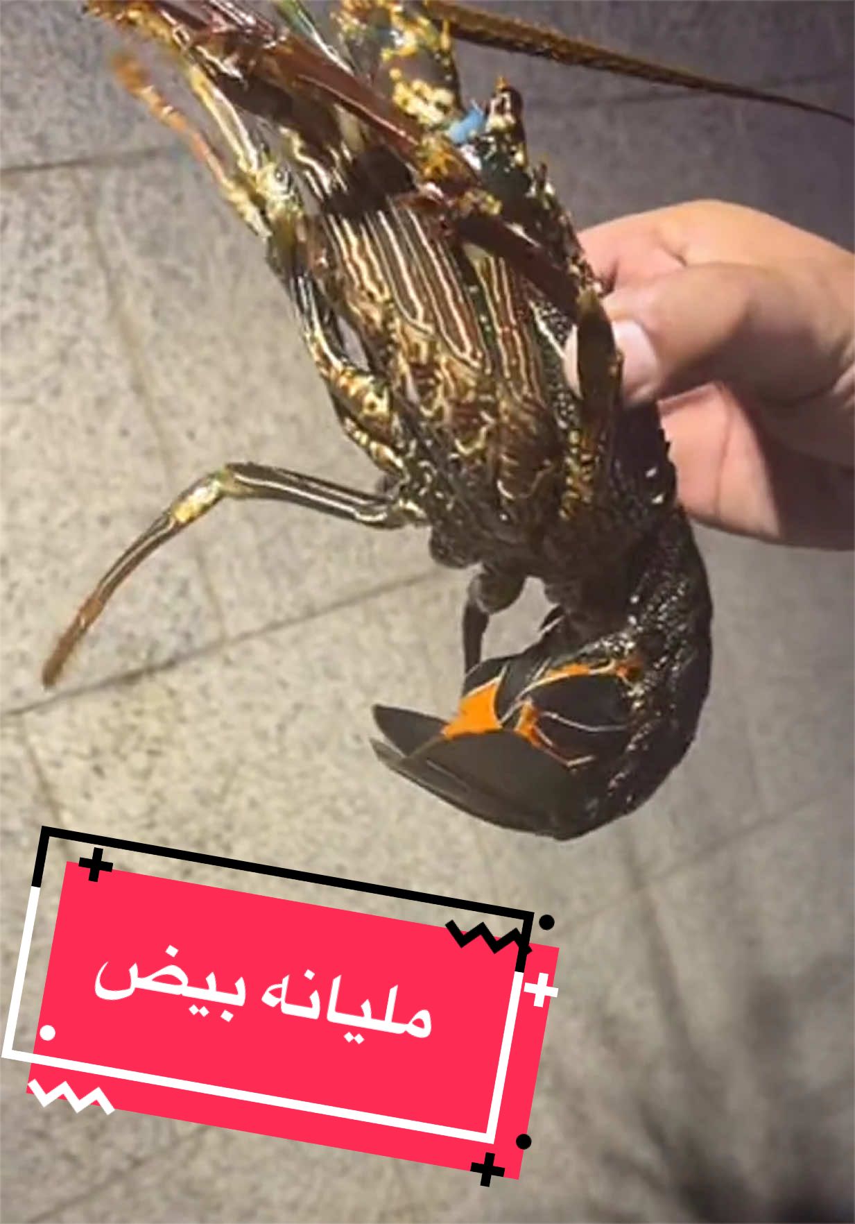 @عبدالهادي الشهري