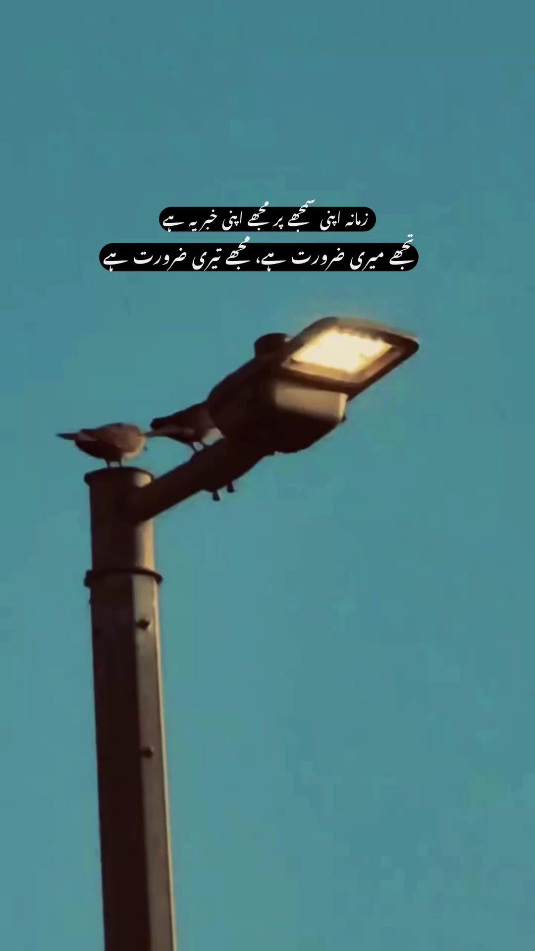 @🇵🇰بادشاہ 👑