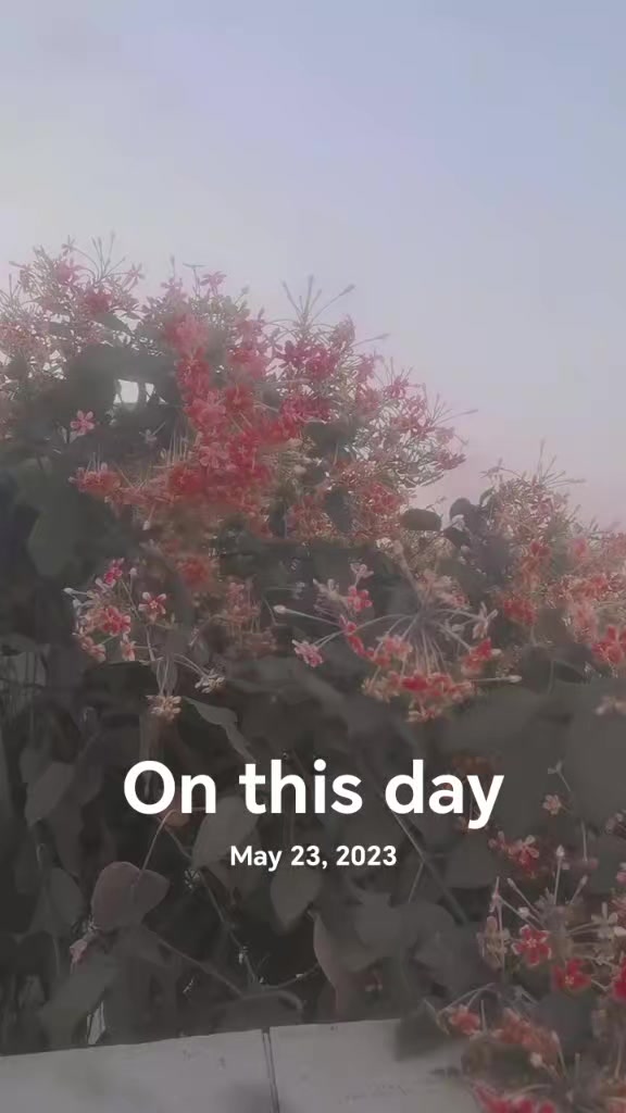@ঘুমন্ত শহর