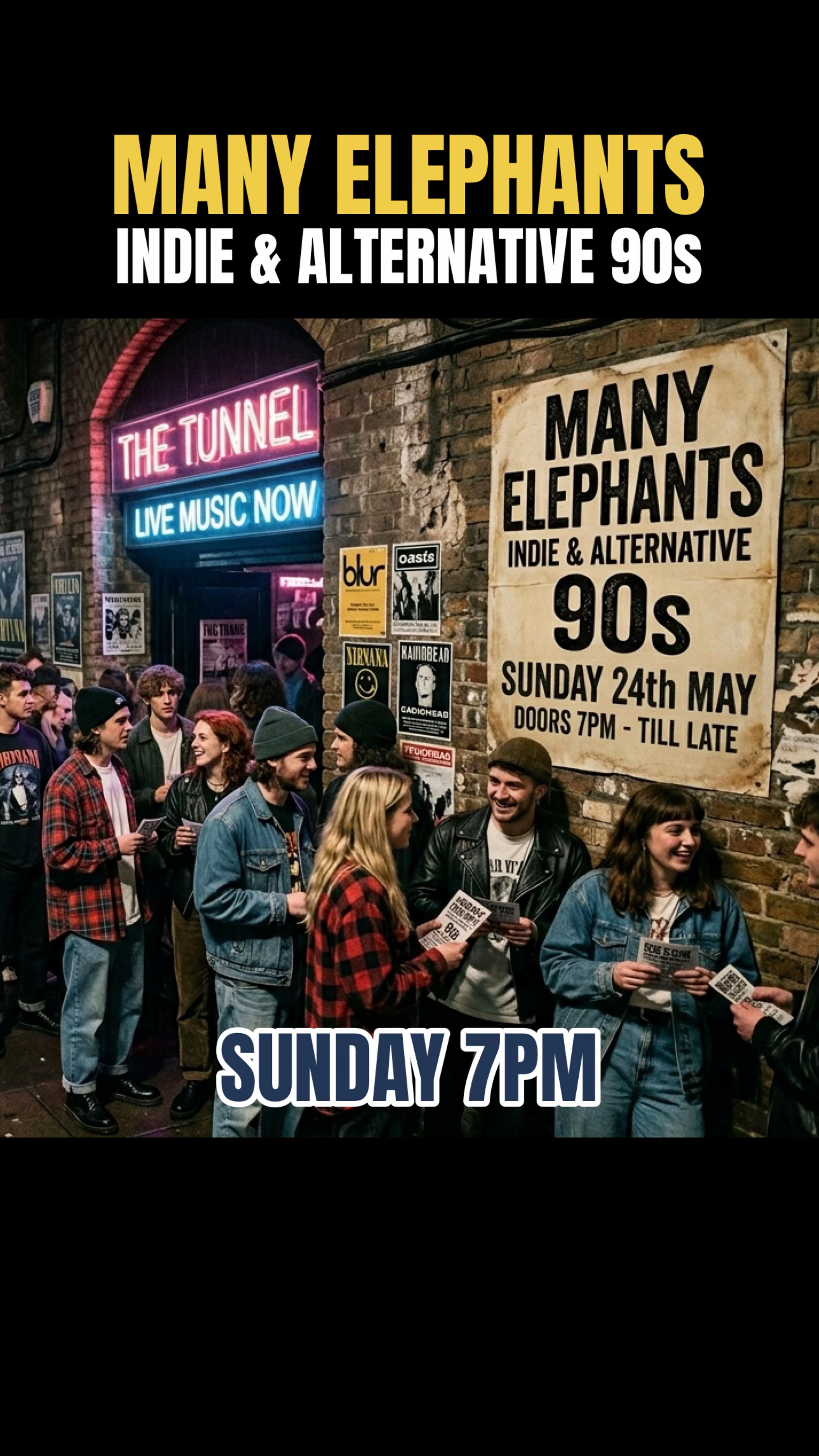 @Many Elephants Music