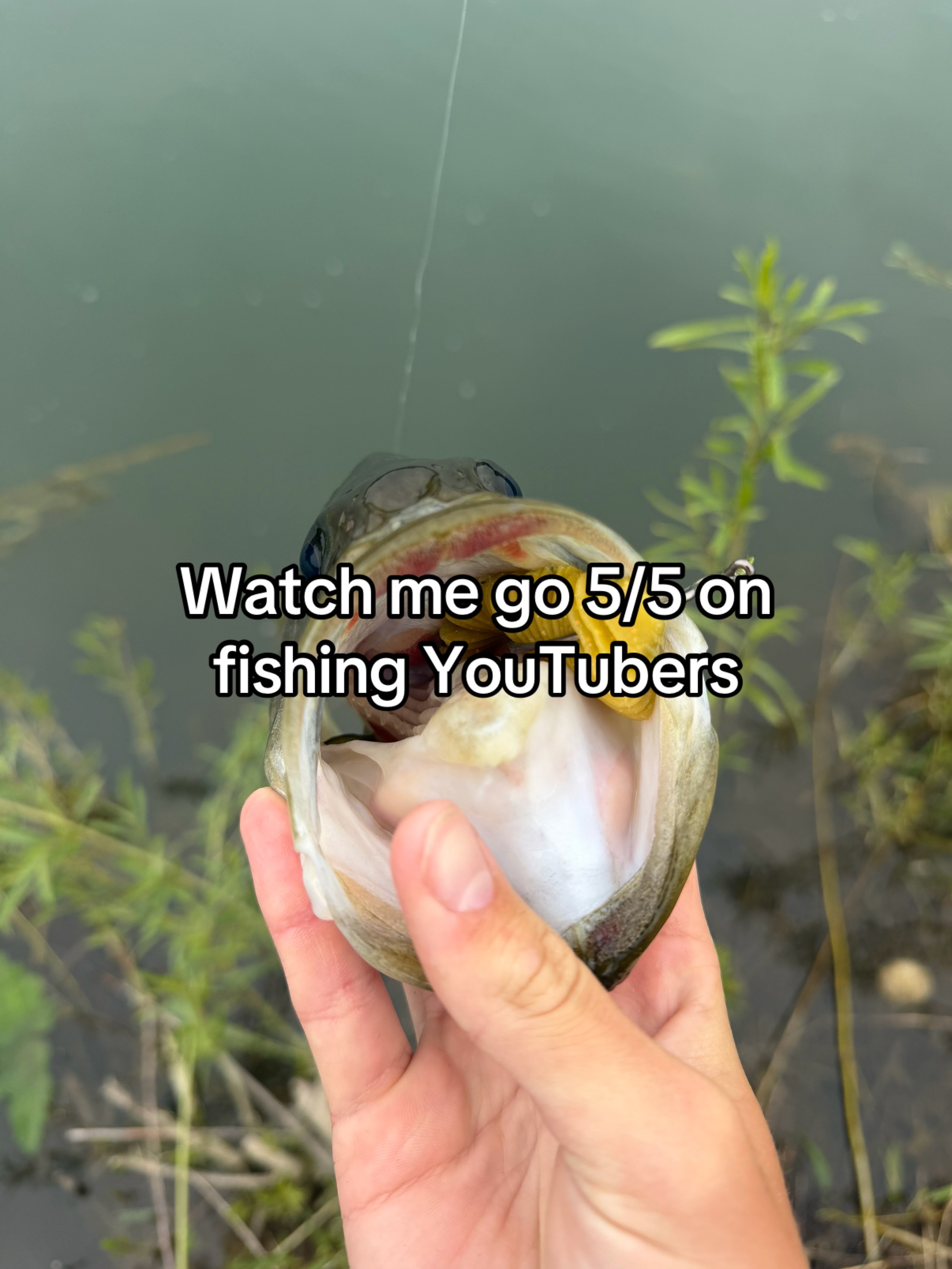 @FattBassFishing