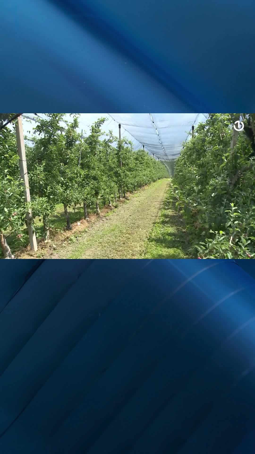@Radiotelevizija BiH
