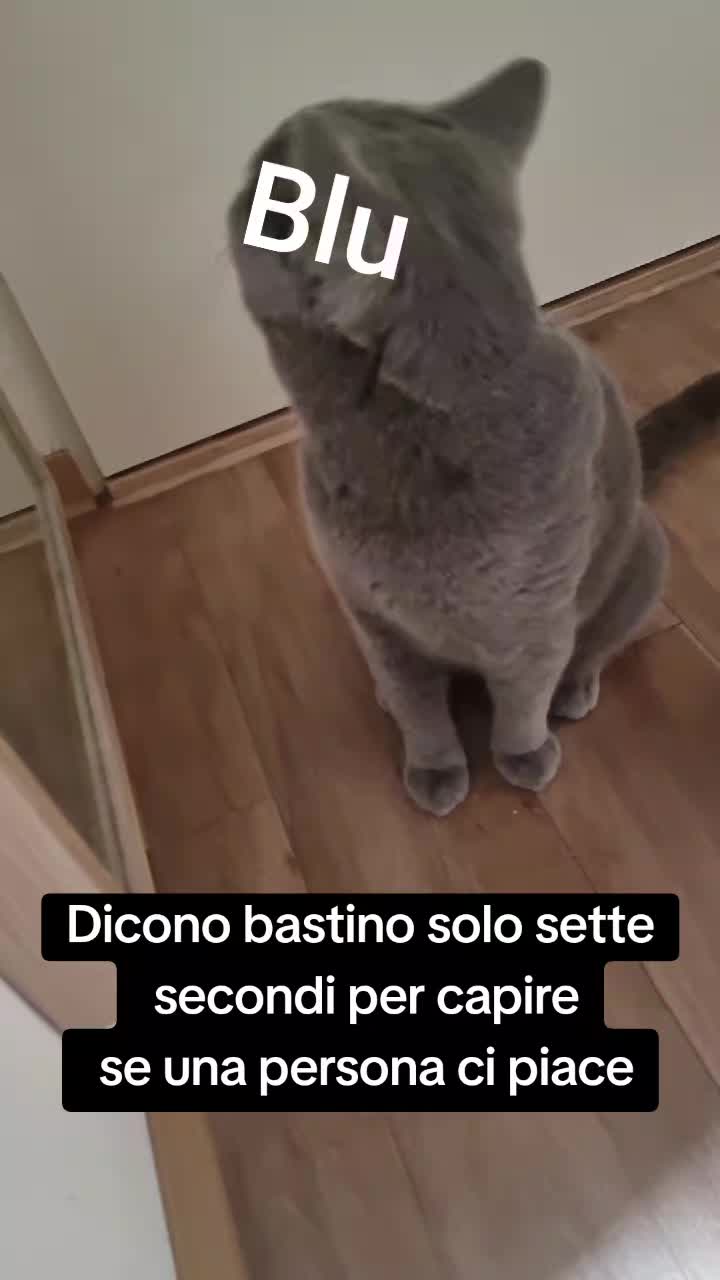 @Raffaellaraffa