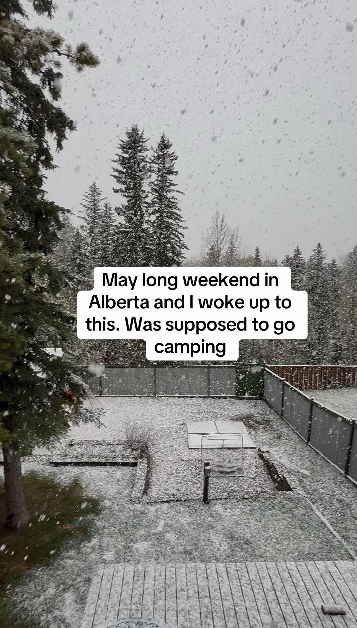 @ReelingandRolling 🇨🇦