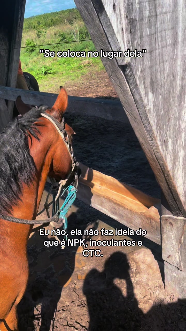 @Sara Ferraz