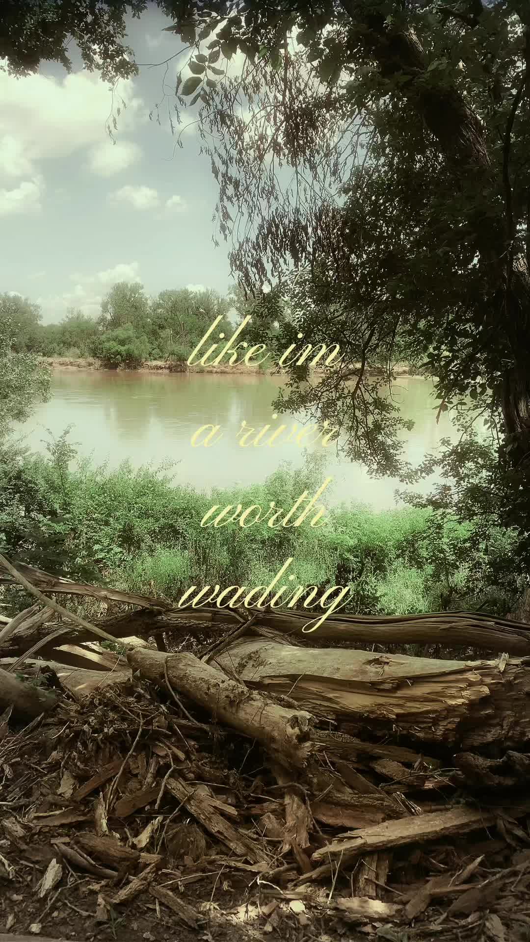@⊹ ࣪ ˖ 🦷🫀 ୭˚.