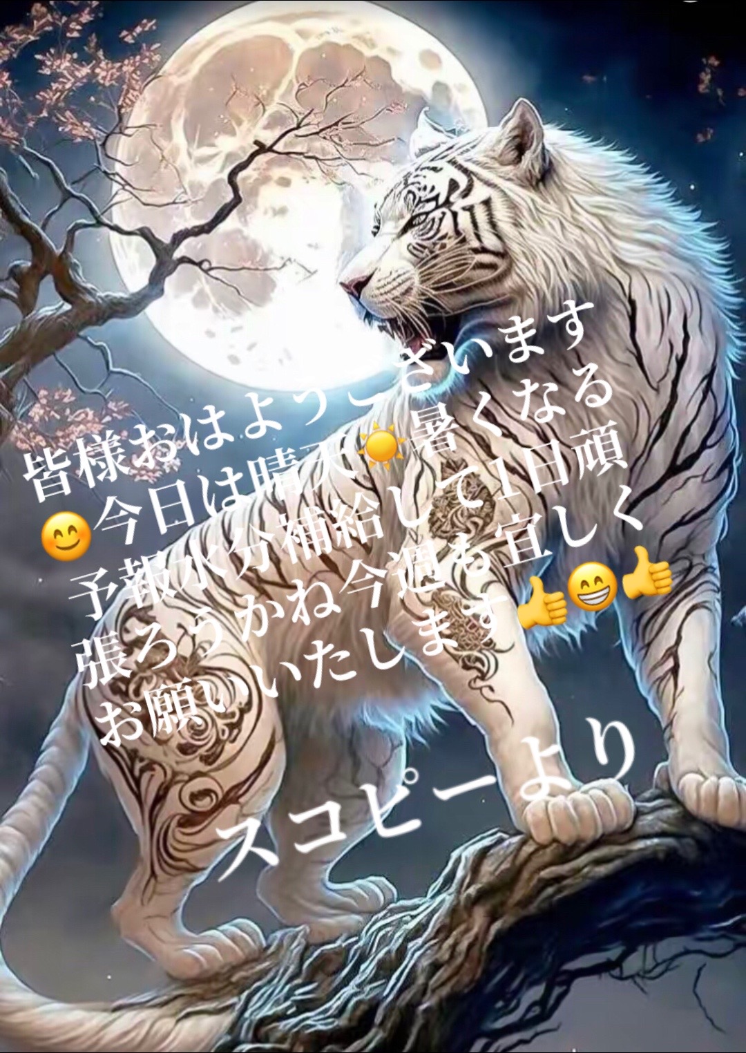 @🐲🦂𝔰𝔠𝔬𝔯𝔭𝔦𝔬𝔫🦂🐲龍蠍🐲🦂