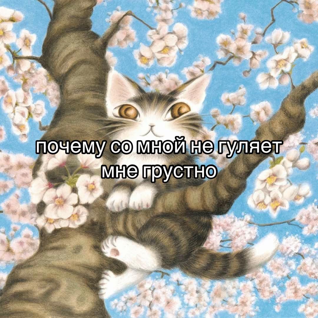 @анонимный господин