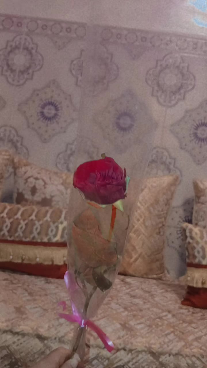@ديدو دوجه