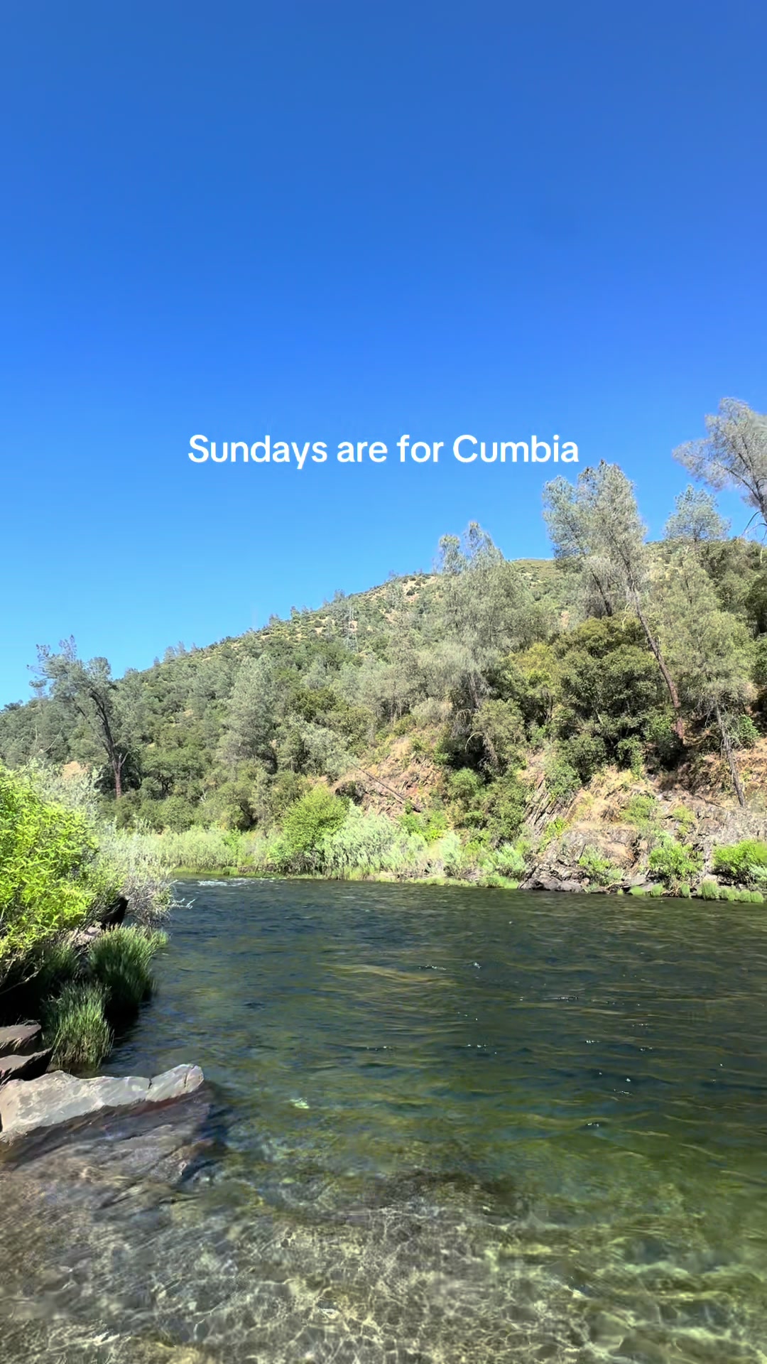 @Cumbiatron&trade;