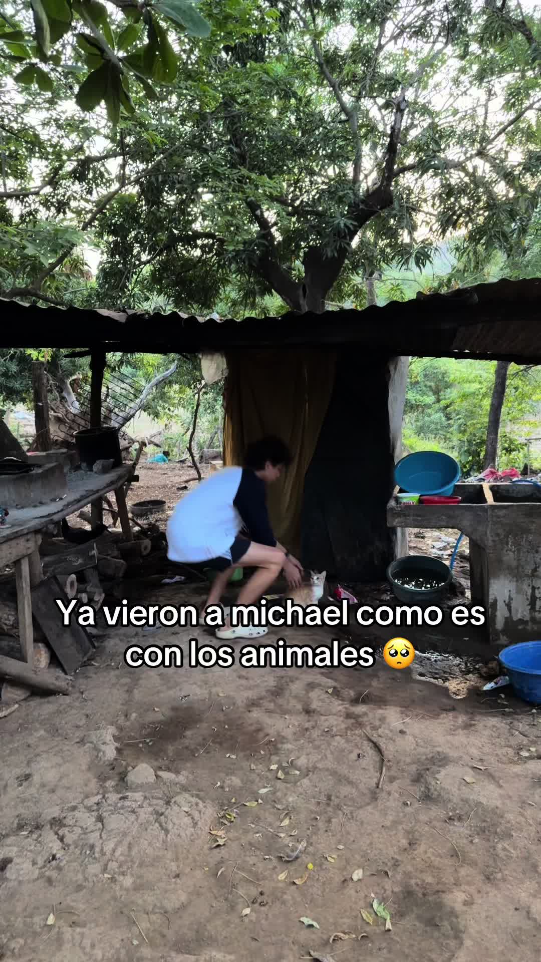 @LALOYDA503