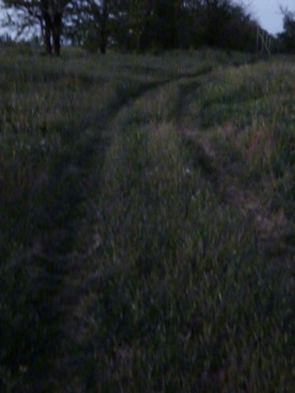 @viaje a ninguna parte