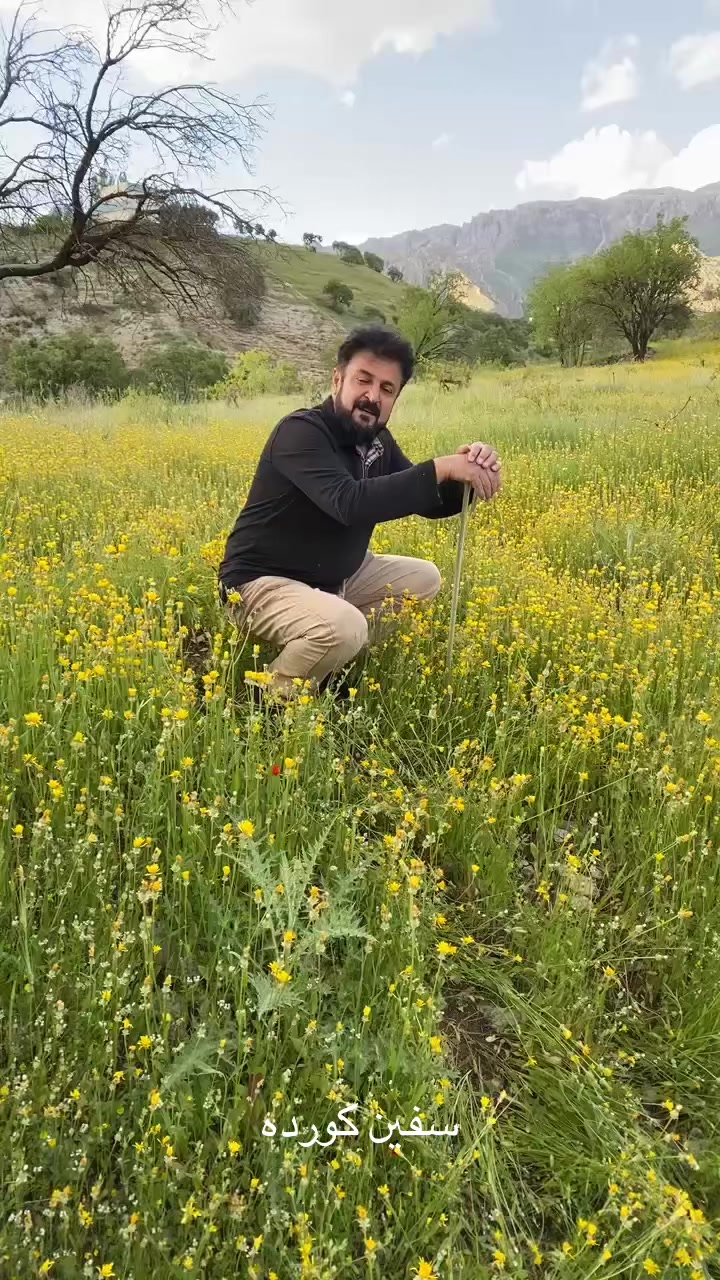 @Safin Kurda