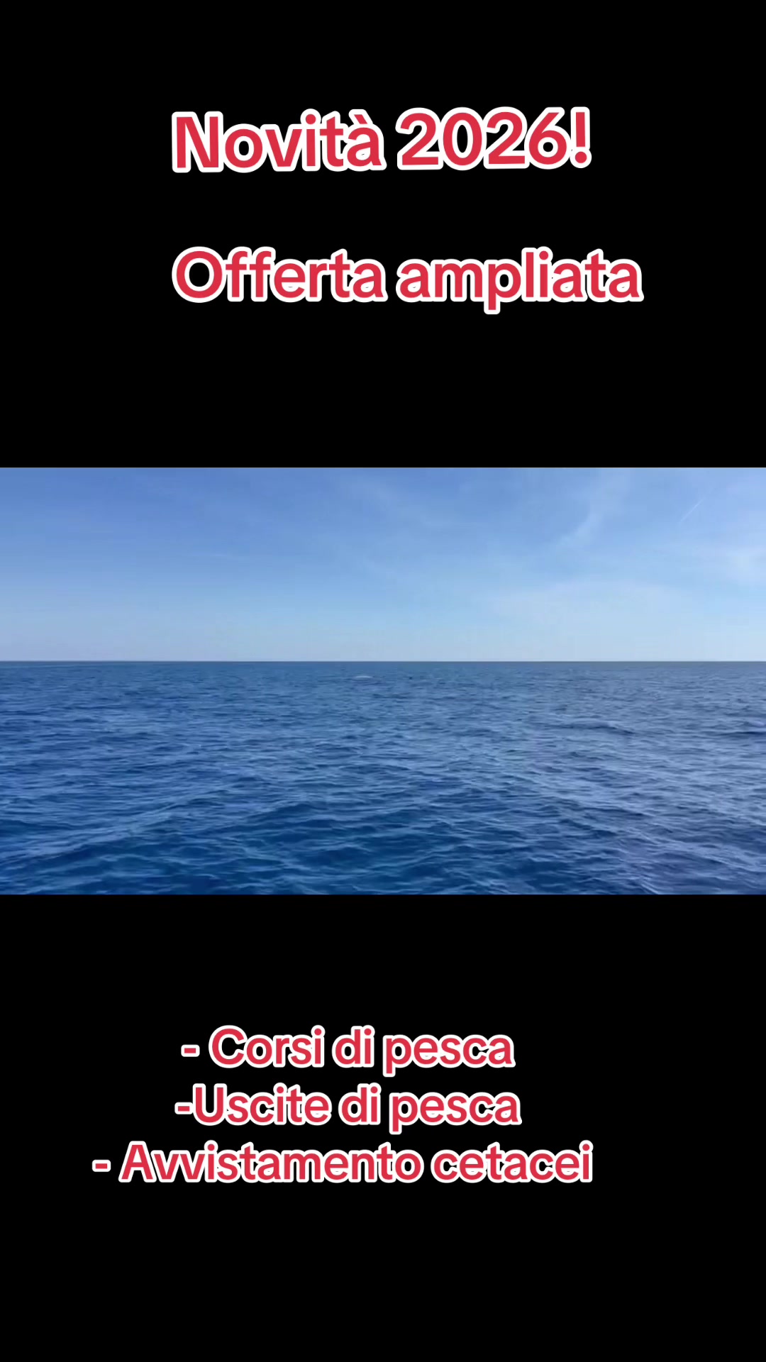 @simplyfishing asd