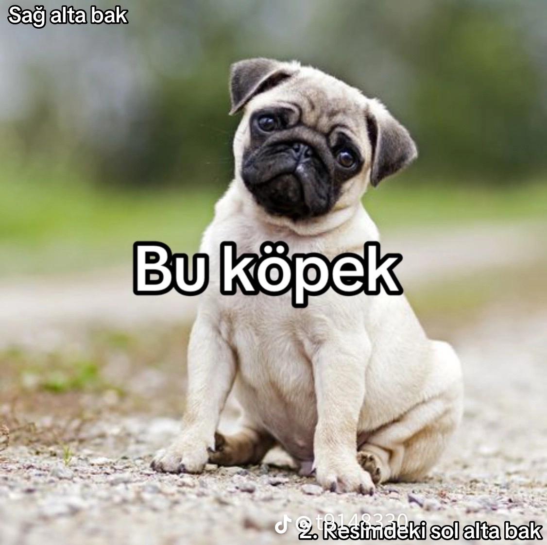 @Unikowwunnn2