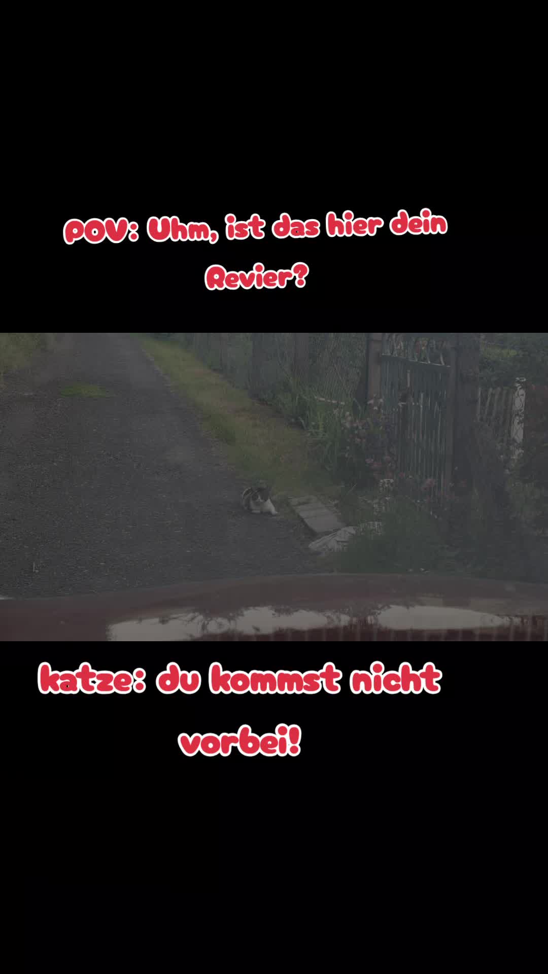 @Susi & der Dosenöffner 🤔🤣