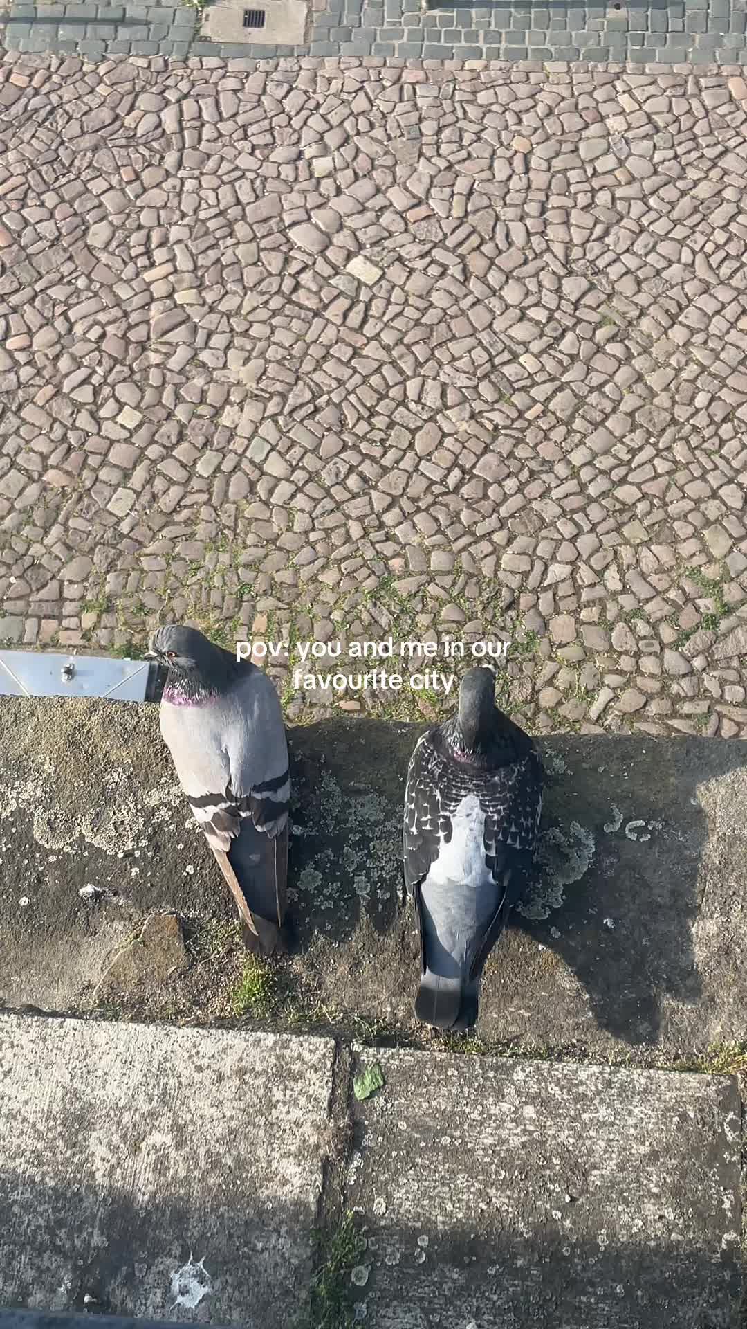 @Jannik