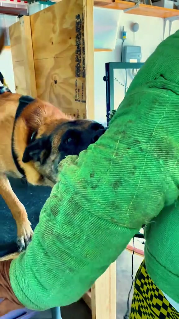 @Unschool the Dog